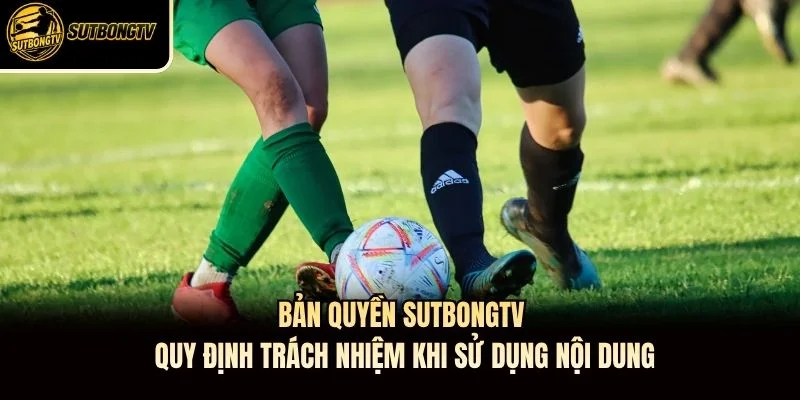 Bản quyền SutbongTV quy định trách nhiệm khi sử dụng nội dung