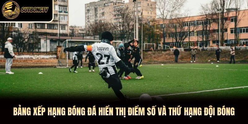Bảng xếp hạng bóng đá hiển thị điểm số và thứ hạng đội bóng