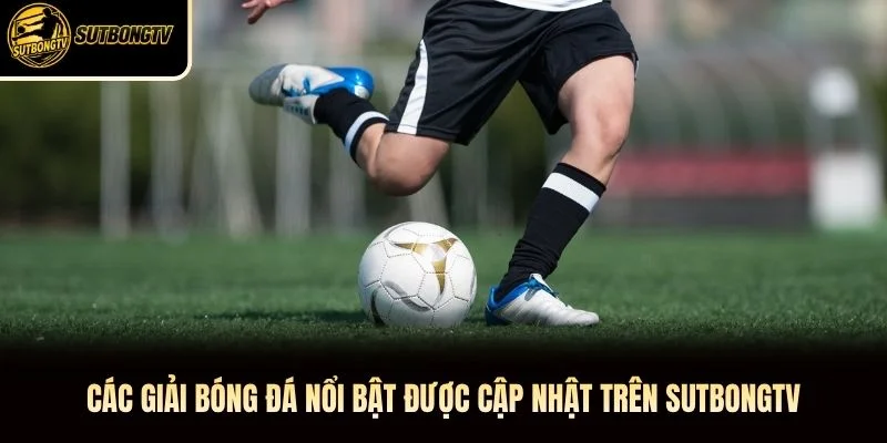 Các giải bóng đá nổi bật được cập nhật trên SutbongTV