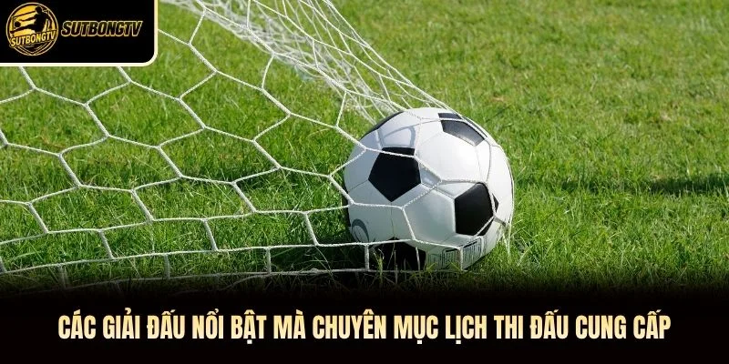 Các giải đấu nổi bật mà chuyên mục lịch thi đấu cung cấp