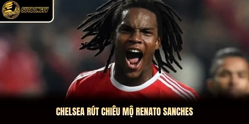 Chelsea rút chiêu mộ Renato Sanches