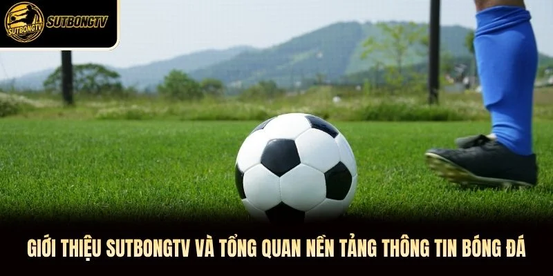 Giới thiệu SutbongTV và tổng quan nền tảng thông tin bóng đá