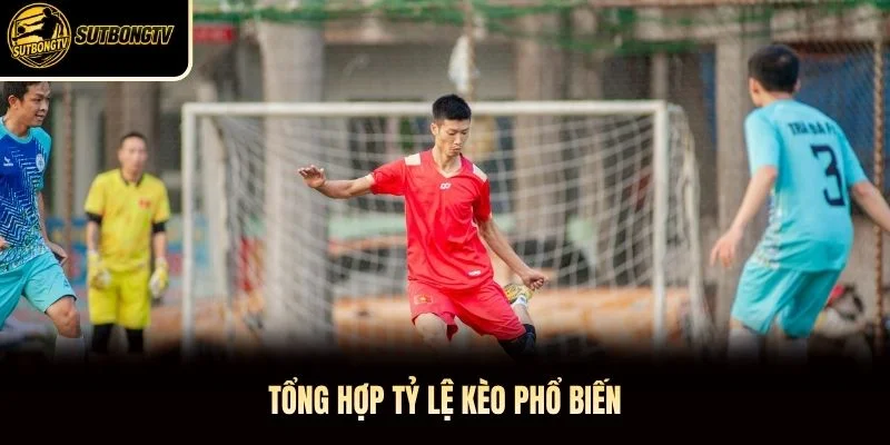 Tổng hợp tỷ lệ kèo phổ biến