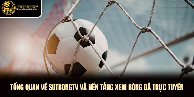 Tổng quan về SutbongTV và nền tảng xem bóng đá trực tuyến