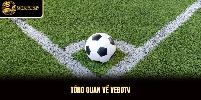 Tổng quan về VeboTV